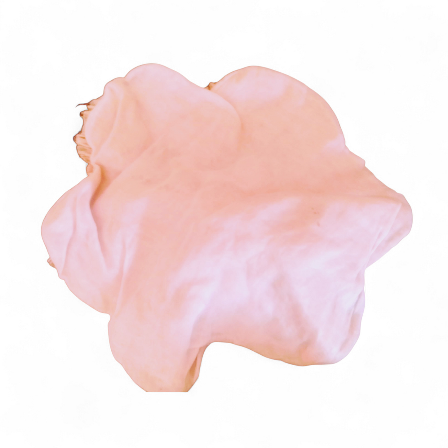 Muñeca antigua coleccion lenci cuerpo de tela rosa desgastada en forma irregular destacado